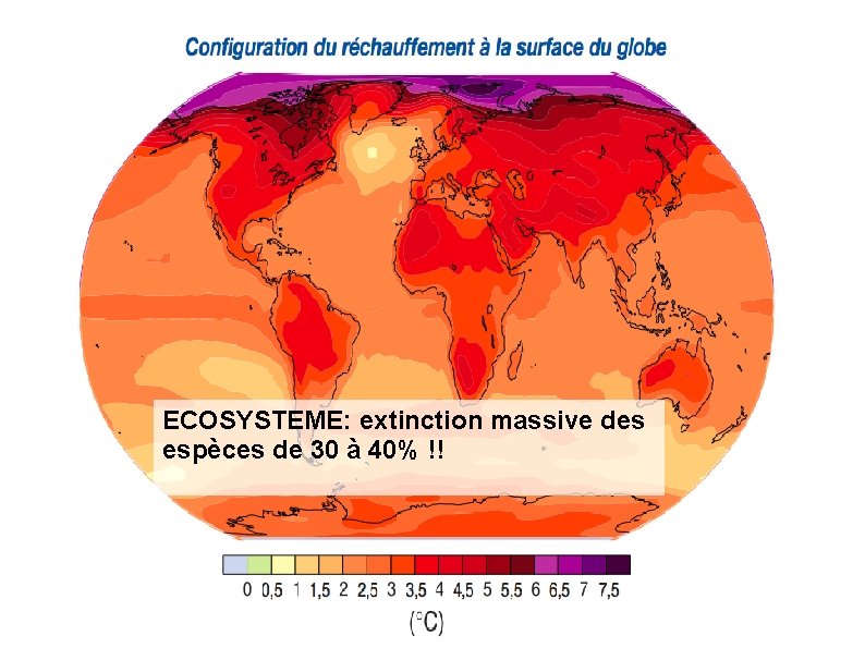 ECOSYSTEME: extinction massive des espèces de 30 à 40% !! 