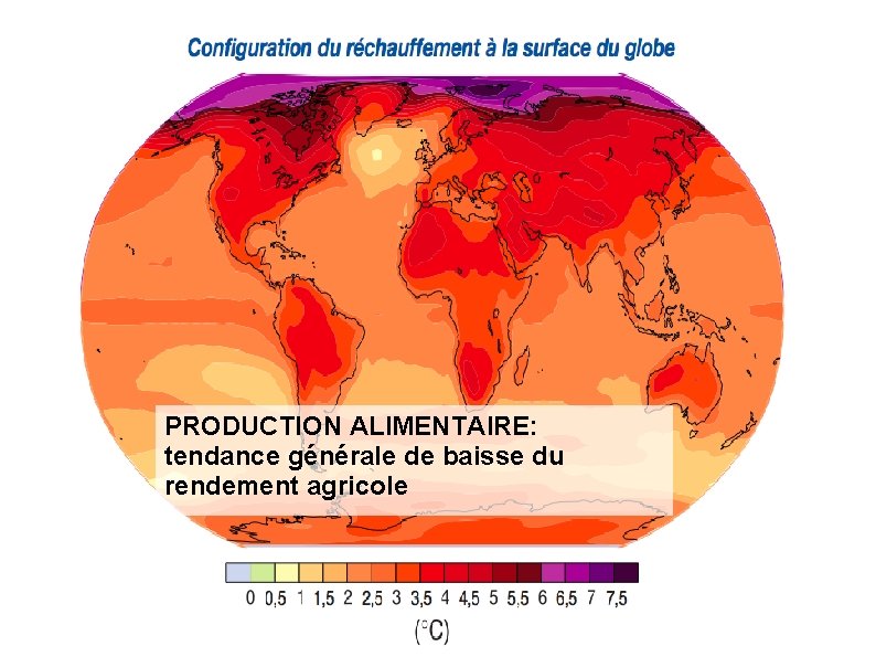 PRODUCTION ALIMENTAIRE: tendance générale de baisse du rendement agricole 