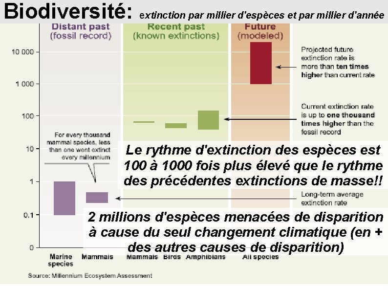 Biodiversité: extinction par millier d'espèces et par millier d'année Le rythme d'extinction des espèces