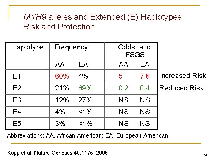 MYH 9 alleles and Extended (E) Haplotypes: Risk and Protection Haplotype Frequency AA EA MYH 9 alleles and Extended (E) Haplotypes: Risk and Protection Haplotype Frequency AA EA