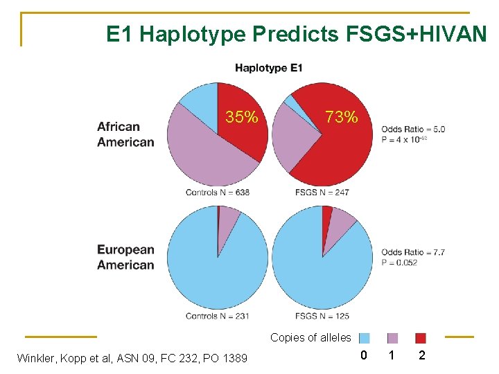E 1 Haplotype Predicts FSGS+HIVAN 35% 73% Copies of alleles Winkler, Kopp et al, E 1 Haplotype Predicts FSGS+HIVAN 35% 73% Copies of alleles Winkler, Kopp et al,