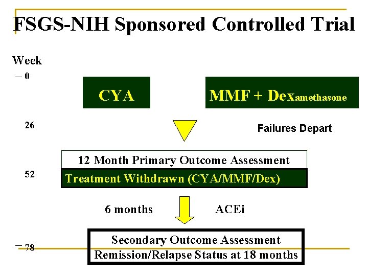 FSGS-NIH Sponsored Controlled Trial Week 0 CYA MMF + Dexamethasone 26 52 Failures Depart FSGS-NIH Sponsored Controlled Trial Week 0 CYA MMF + Dexamethasone 26 52 Failures Depart