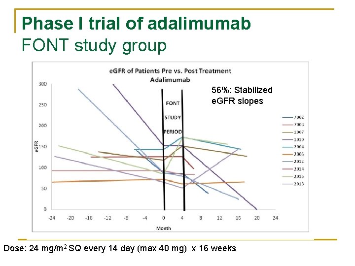 Phase I trial of adalimumab FONT study group 56%: Stabilized e. GFR slopes Dose: Phase I trial of adalimumab FONT study group 56%: Stabilized e. GFR slopes Dose: