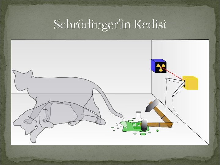 Schrödinger’in Kedisi 