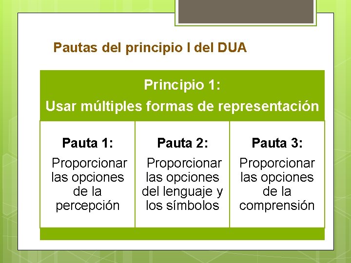 Pautas del principio I del DUA Principio 1: Usar múltiples formas de representación Pauta