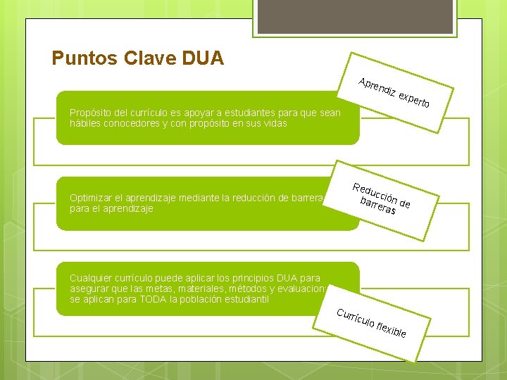 Puntos Clave DUA Apr end iz e xpe Propósito del currículo es apoyar a