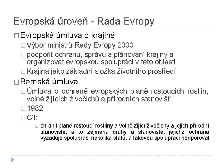 Evropská úroveň - Rada Evropy � Evropská úmluva o krajině � Výbor ministrů Rady