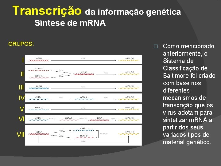 Transcrição da informação genética Síntese de m. RNA GRUPOS: I II IV V VI