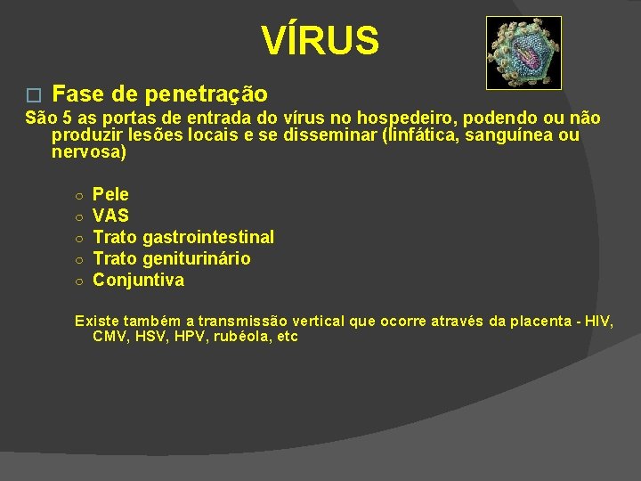 VÍRUS � Fase de penetração São 5 as portas de entrada do vírus no