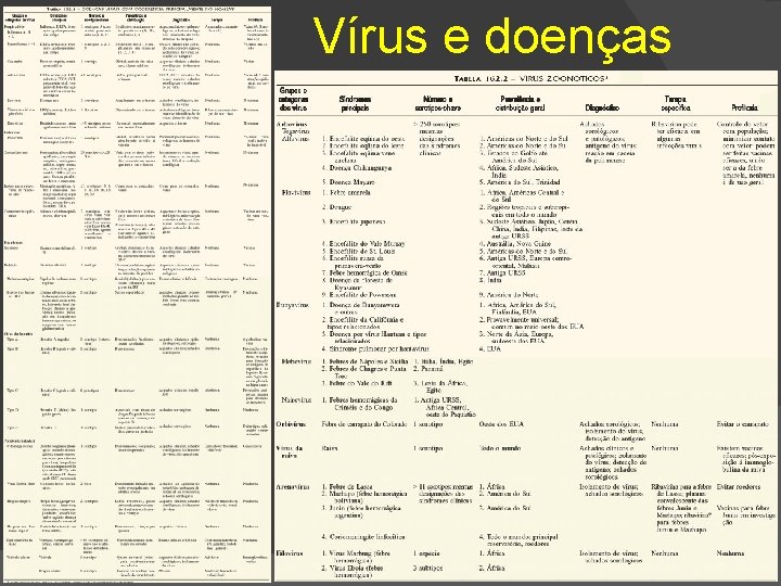 Vírus e doenças 