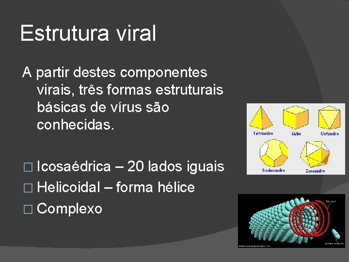 Estrutura viral A partir destes componentes virais, três formas estruturais básicas de vírus são