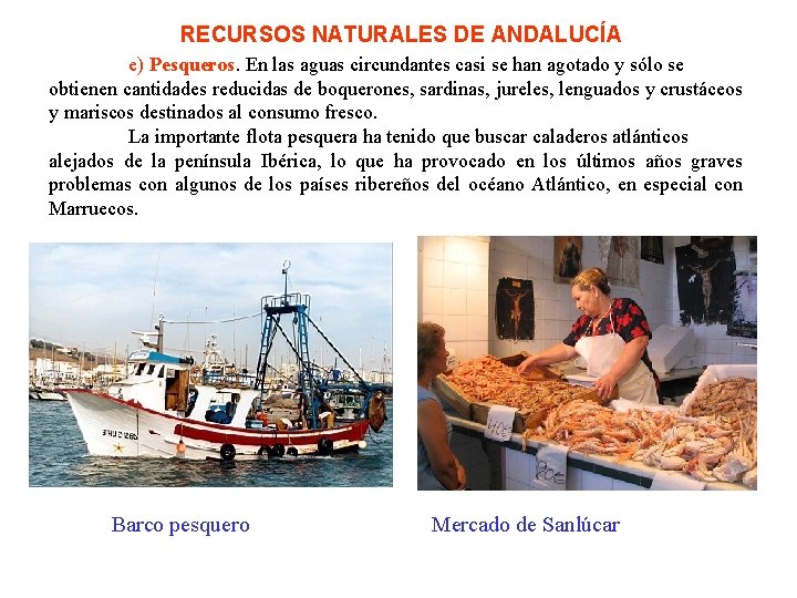 RECURSOS NATURALES DE ANDALUCÍA e) Pesqueros. En las aguas circundantes casi se han agotado