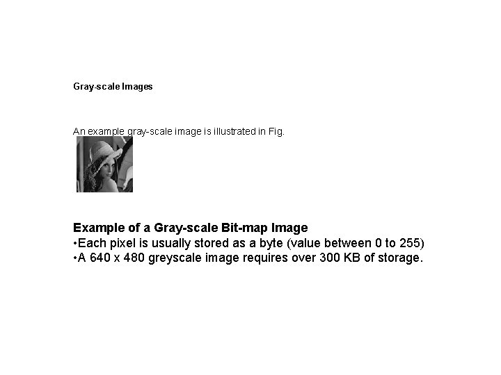 Gray-scale Images An example gray-scale image is illustrated in Fig. Example of a Gray-scale