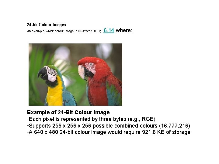 24 -bit Colour Images An example 24 -bit colour image is illustrated in Fig.