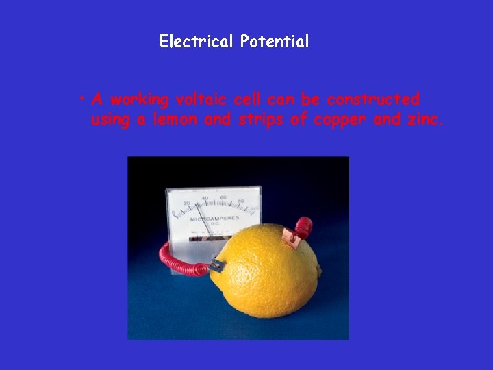 Electrical Potential • A working voltaic cell can be constructed using a lemon and