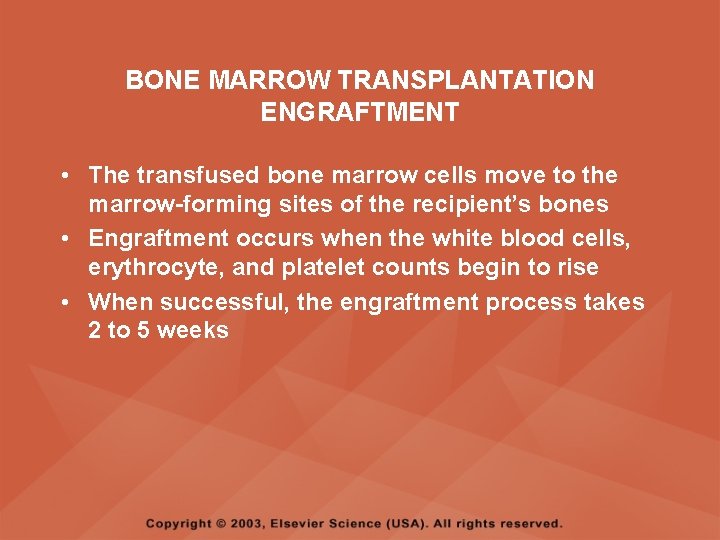 BONE MARROW TRANSPLANTATION ENGRAFTMENT • The transfused bone marrow cells move to the marrow-forming