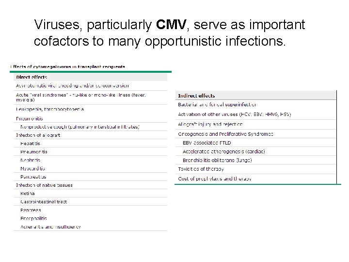 Viruses, particularly CMV, serve as important cofactors to many opportunistic infections. 