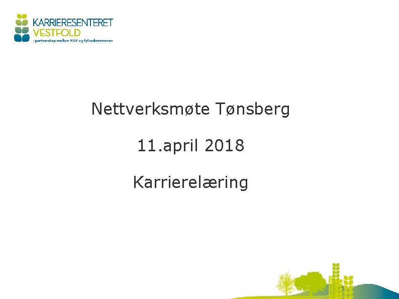 Nettverksmøte Tønsberg 11. april 2018 Karrierelæring 