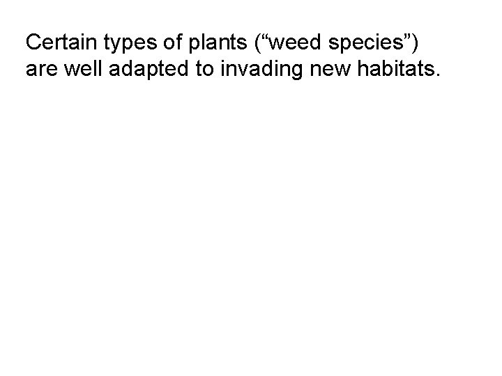 Certain types of plants (“weed species”) are well adapted to invading new habitats. 