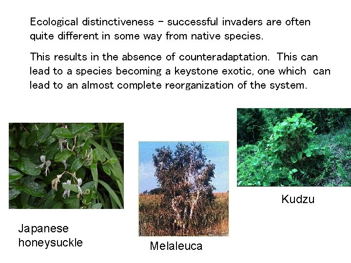 Ecological distinctiveness – successful invaders are often quite different in some way from native