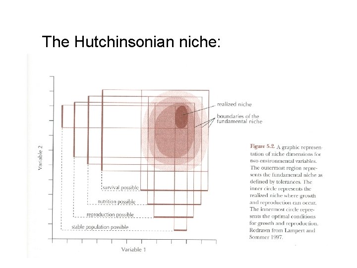 The Hutchinsonian niche: 