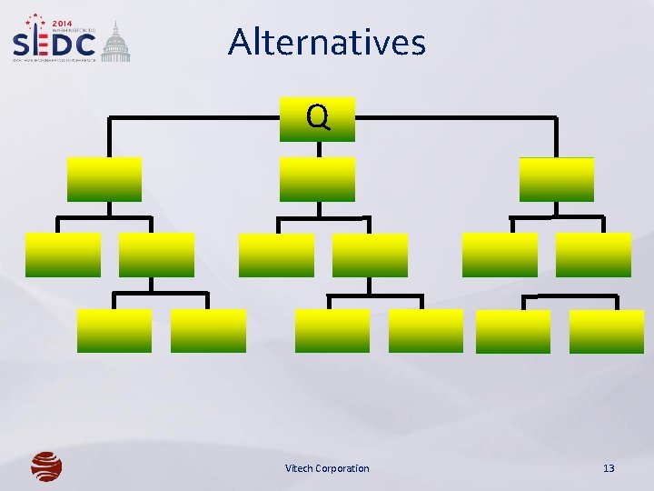 Alternatives Q Vitech Corporation 13 