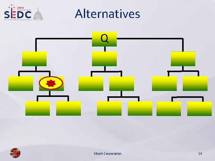 Alternatives Q Vitech Corporation 14 