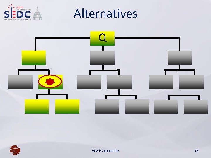 Alternatives Q Vitech Corporation 15 