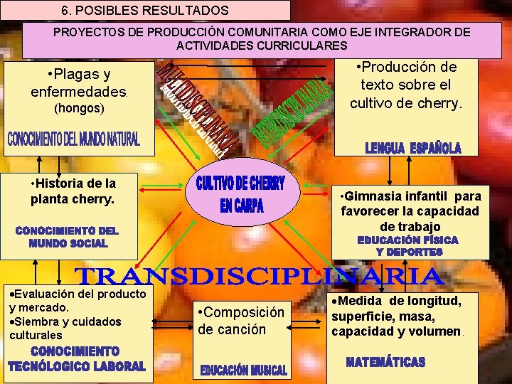 6. POSIBLES RESULTADOS PROYECTOS DE PRODUCCIÓN COMUNITARIA COMO EJE INTEGRADOR DE ACTIVIDADES CURRICULARES •