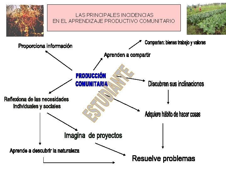 LAS PRINCIPALES INCIDENCIAS EN EL APRENDIZAJE PRODUCTIVO COMUNITARIO 
