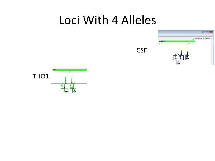 Loci With 4 Alleles CSF THO 1 