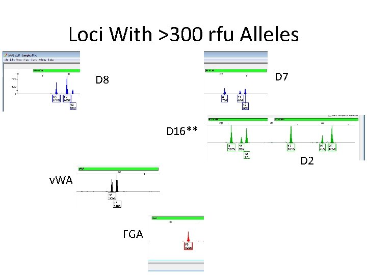 Loci With >300 rfu Alleles D 7 D 8 D 16** D 2 v.