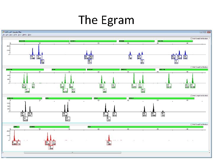 The Egram 