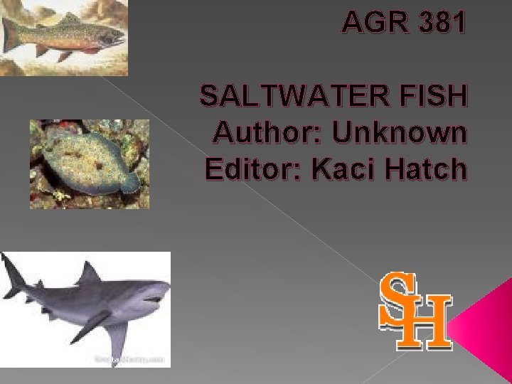 AGR 381 SALTWATER FISH Author: Unknown Editor: Kaci Hatch 