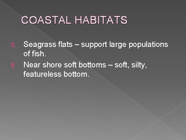 COASTAL HABITATS Seagrass flats – support large populations of fish. 6. Near shore soft