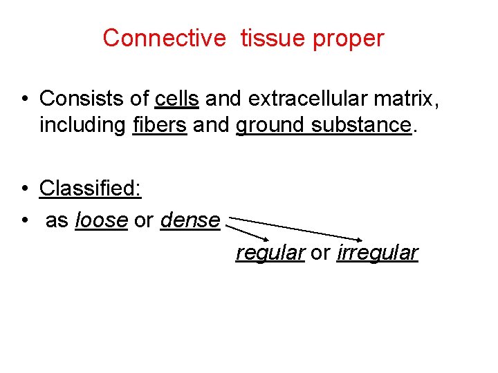 Connective tissue proper • Consists of cells and extracellular matrix, including fibers and ground