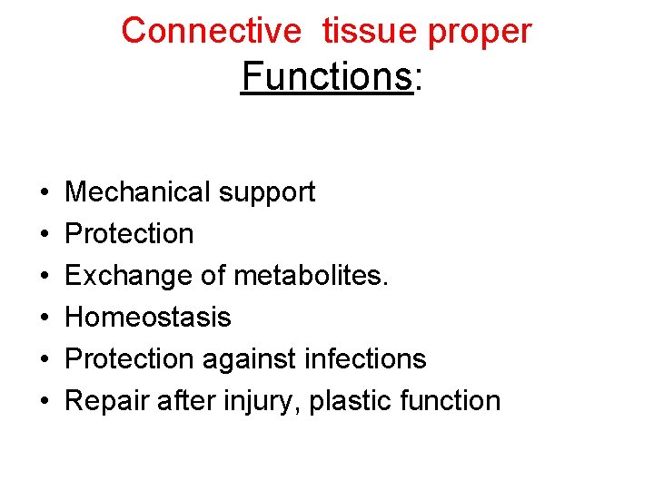Connective tissue proper Functions: • • • Mechanical support Protection Exchange of metabolites. Homeostasis