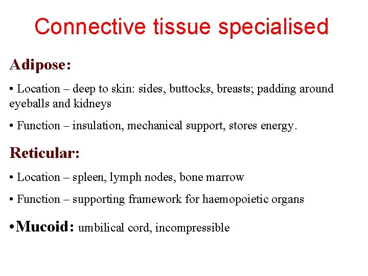 Connective tissue specialised Adipose: • Location – deep to skin: sides, buttocks, breasts; padding