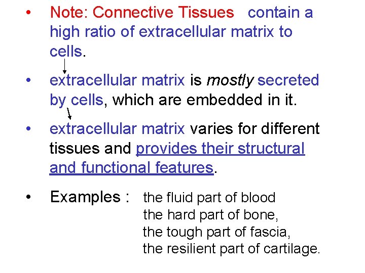  • Note: Connective Tissues contain a high ratio of extracellular matrix to cells.