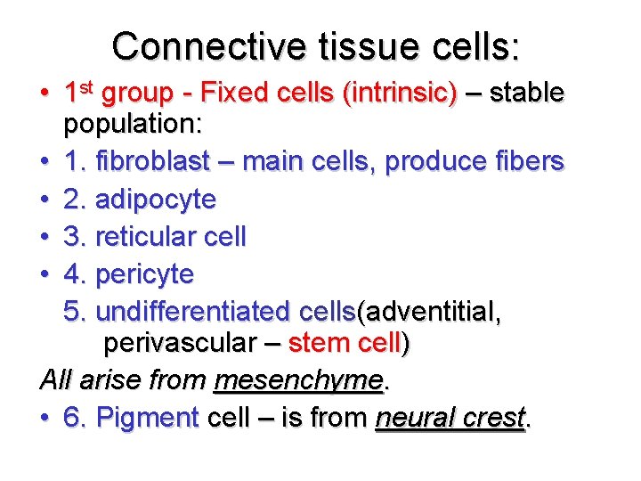 Connective tissue cells: • 1 st group - Fixed cells (intrinsic) – stable population: