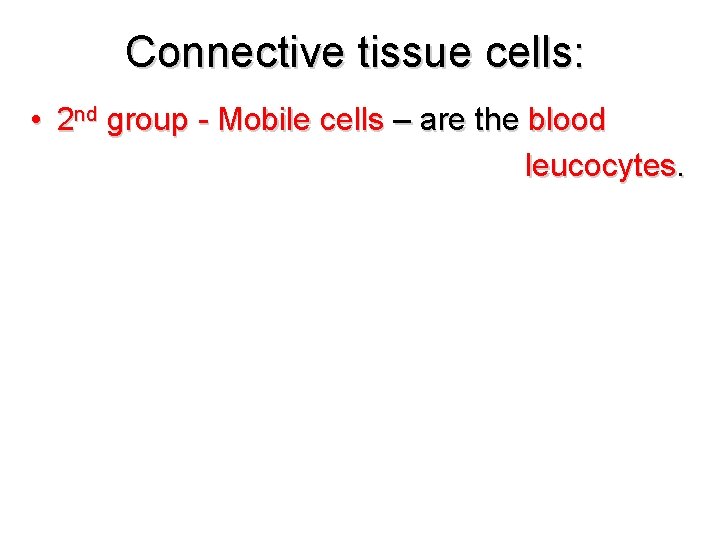Connective tissue cells: • 2 nd group - Mobile cells – are the blood
