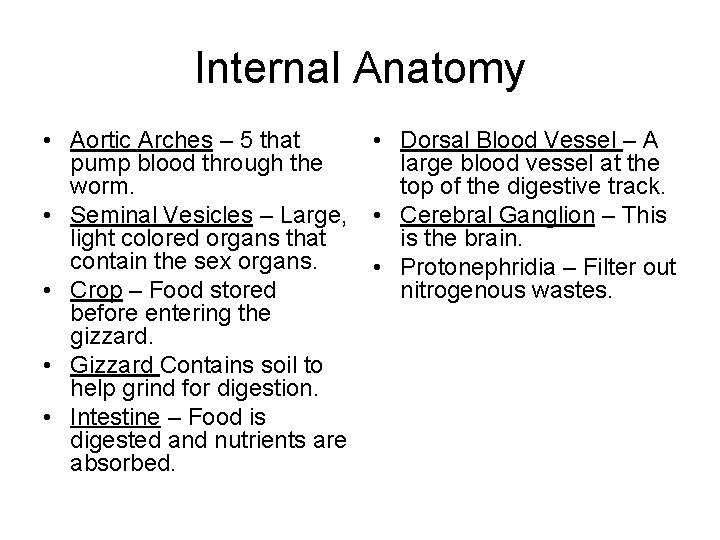 Internal Anatomy • Aortic Arches – 5 that pump blood through the worm. •