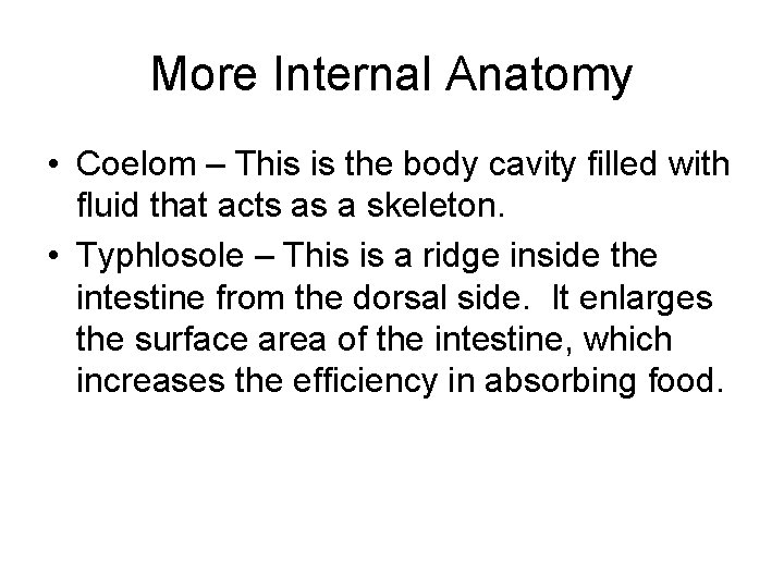 More Internal Anatomy • Coelom – This is the body cavity filled with fluid