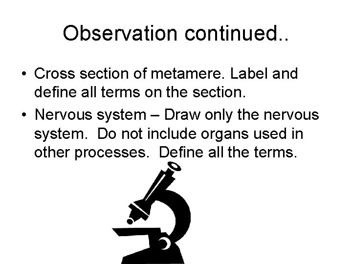 Observation continued. . • Cross section of metamere. Label and define all terms on