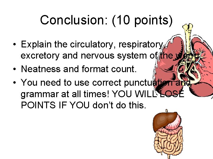 Conclusion: (10 points) • Explain the circulatory, respiratory, excretory and nervous system of the