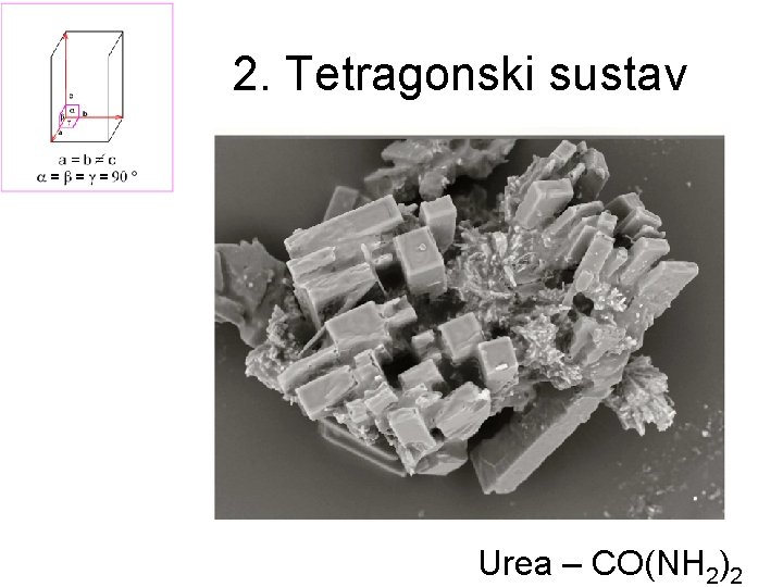 2. Tetragonski sustav Urea – CO(NH 2)2 