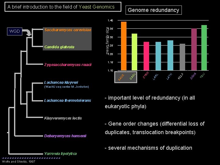 A brief introduction to the field of Yeast Genomics Genome redundancy WGD Saccharomyces cerevisiae A brief introduction to the field of Yeast Genomics Genome redundancy WGD Saccharomyces cerevisiae