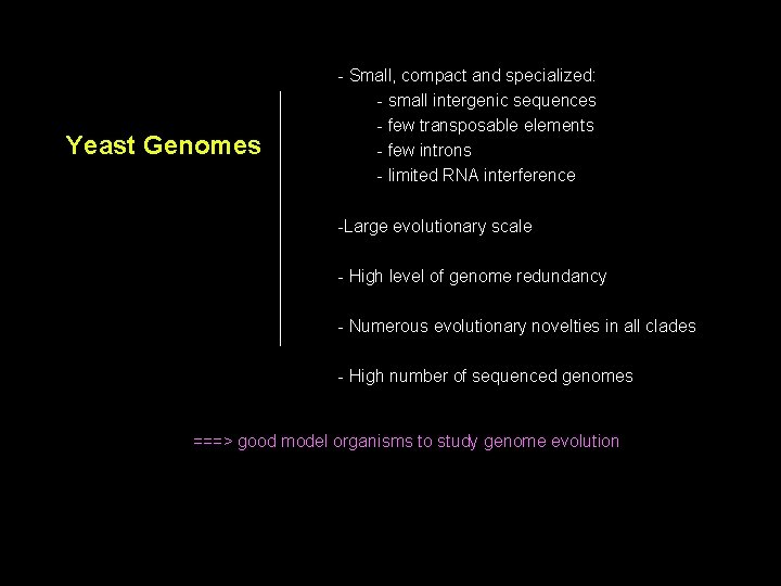 Yeast Genomes - Small, compact and specialized: - small intergenic sequences - few transposable Yeast Genomes - Small, compact and specialized: - small intergenic sequences - few transposable
