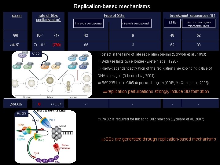 Replication-based mechanisms strain WT clb 5∆ rate of SDs (/cell/division) type of SDs Intra-chromosomal Replication-based mechanisms strain WT clb 5∆ rate of SDs (/cell/division) type of SDs Intra-chromosomal