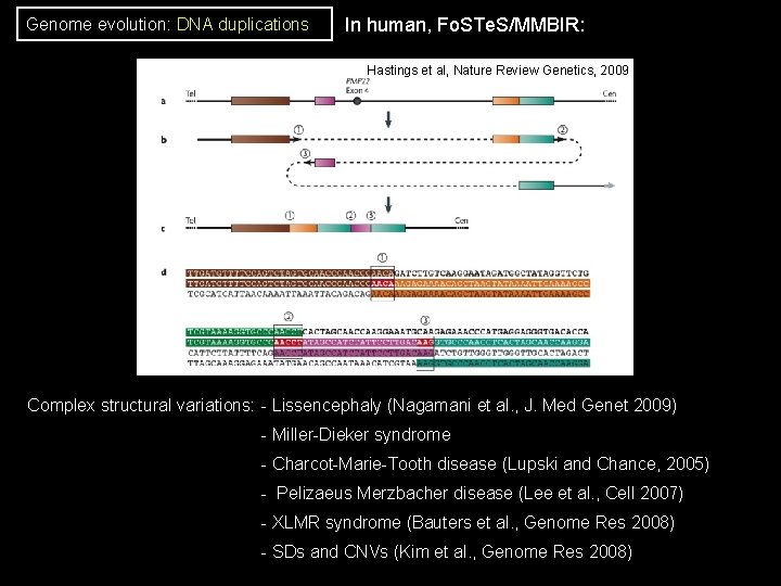 Genome evolution: DNA duplications In human, Fo. STe. S/MMBIR: Hastings et al, Nature Review Genome evolution: DNA duplications In human, Fo. STe. S/MMBIR: Hastings et al, Nature Review